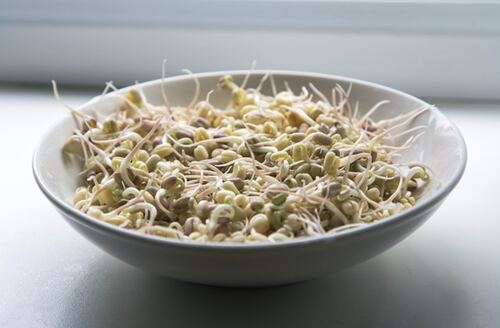 Why Bean Sprouts Should Be Your New Go-To Superfood